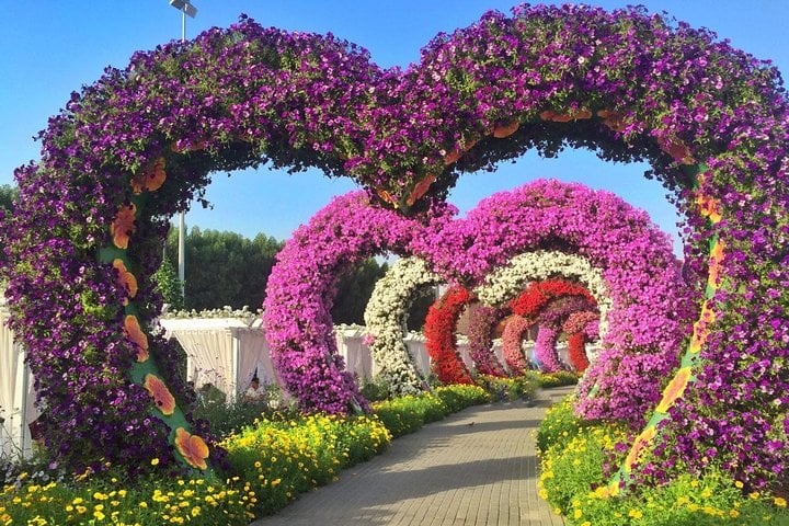 Dubai Miracle Garden con traslados privados - Imagen 4