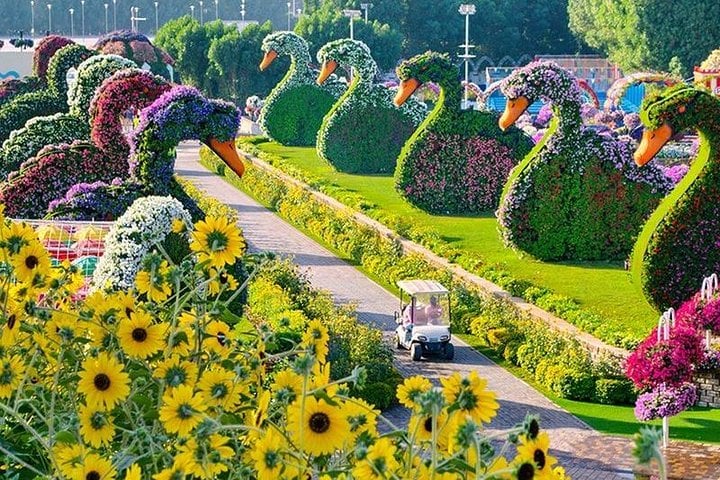 Dubai Miracle Garden con traslados privados - Imagen 2