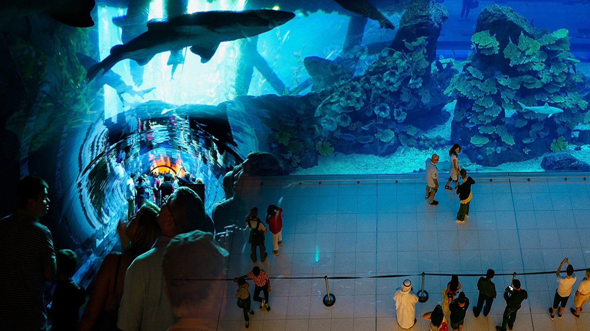 Dubai Mall, acuario, Burj Khalifa y fuentes - Imagen 2
