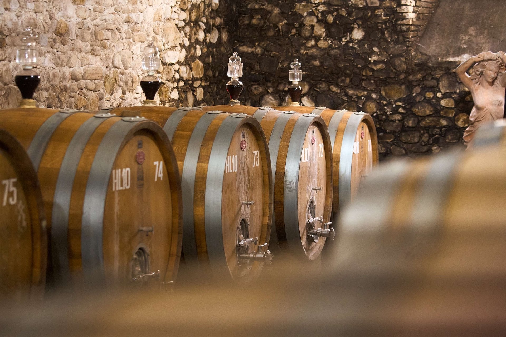 Toscana: cata de aceite de oliva y vino - Imagen 4