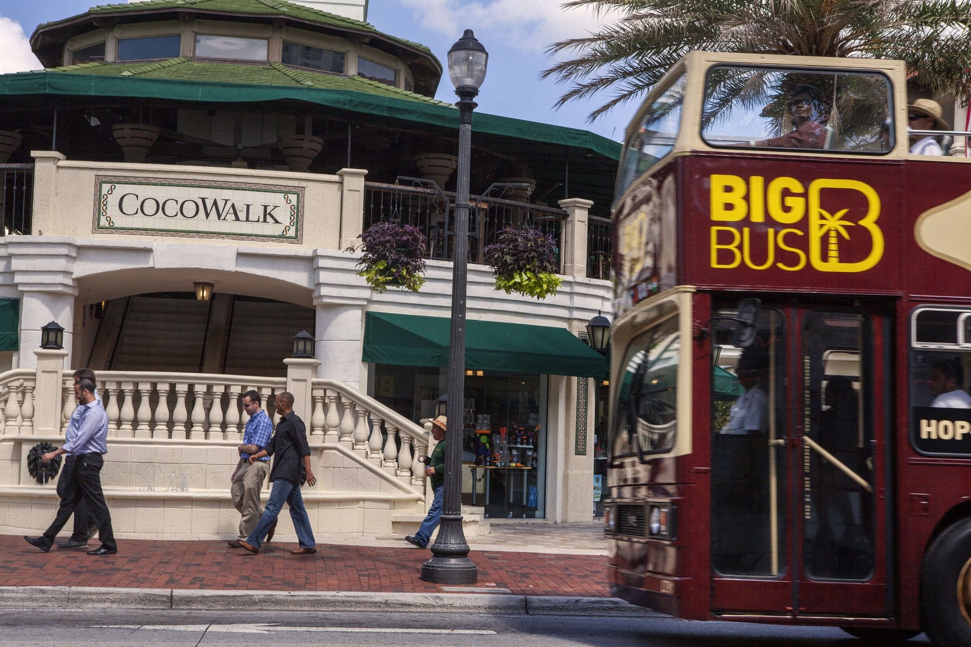 Big Bus Miami Discover: ticket 24 h - Imagen 2