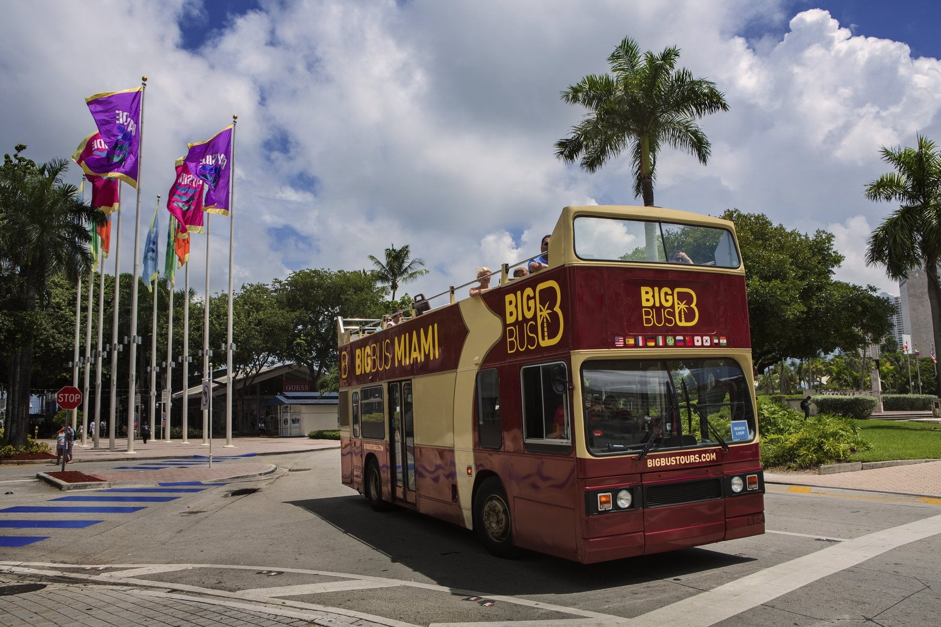 Día, noche y navegación: bus 48 horas - Imagen 4