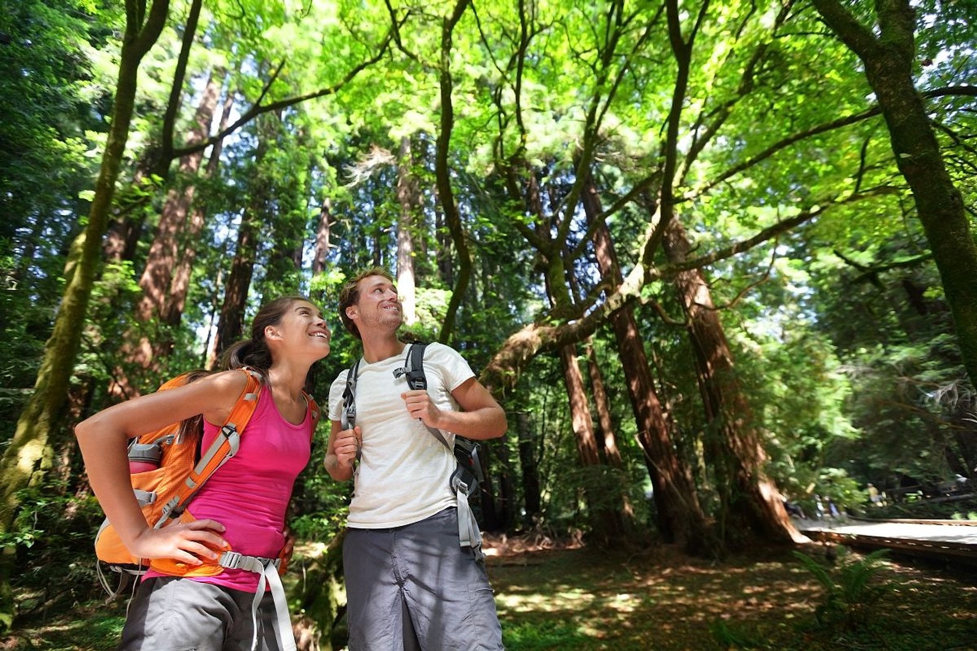 Bosques de Muir en San Francisco - Imagen 3