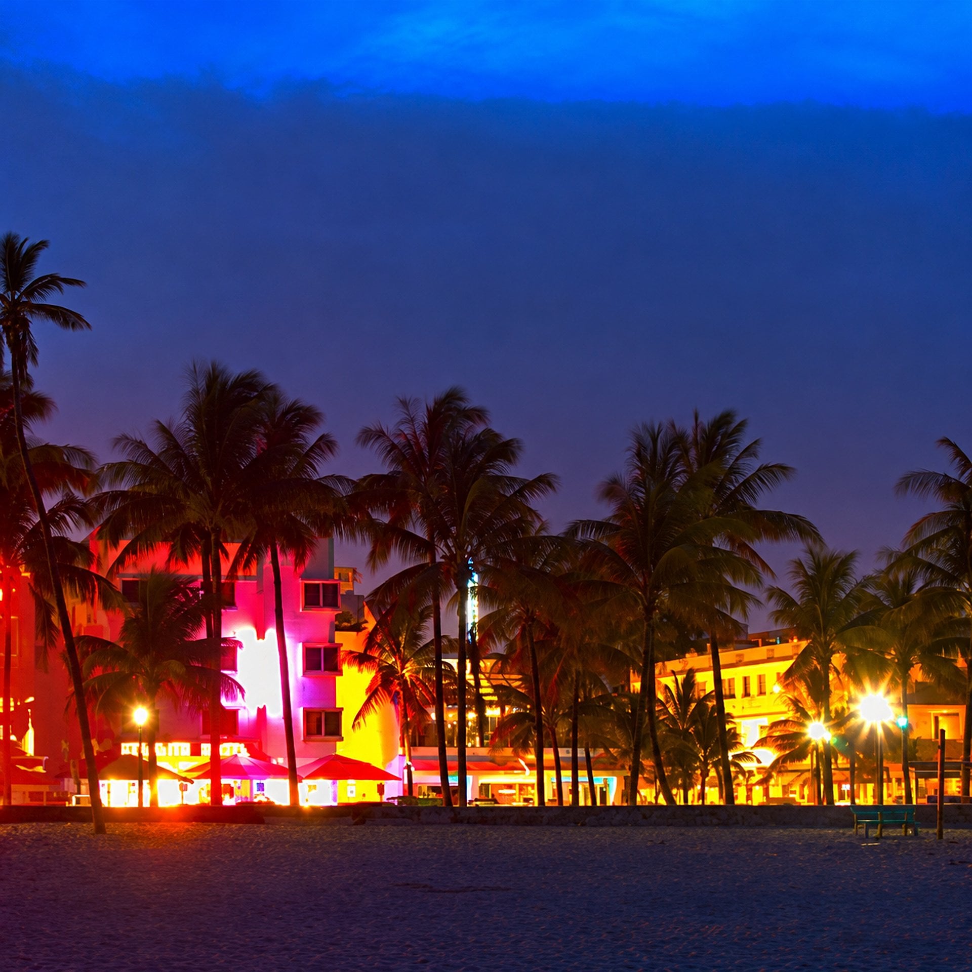 Big Bus nocturno por Miami - Imagen 2