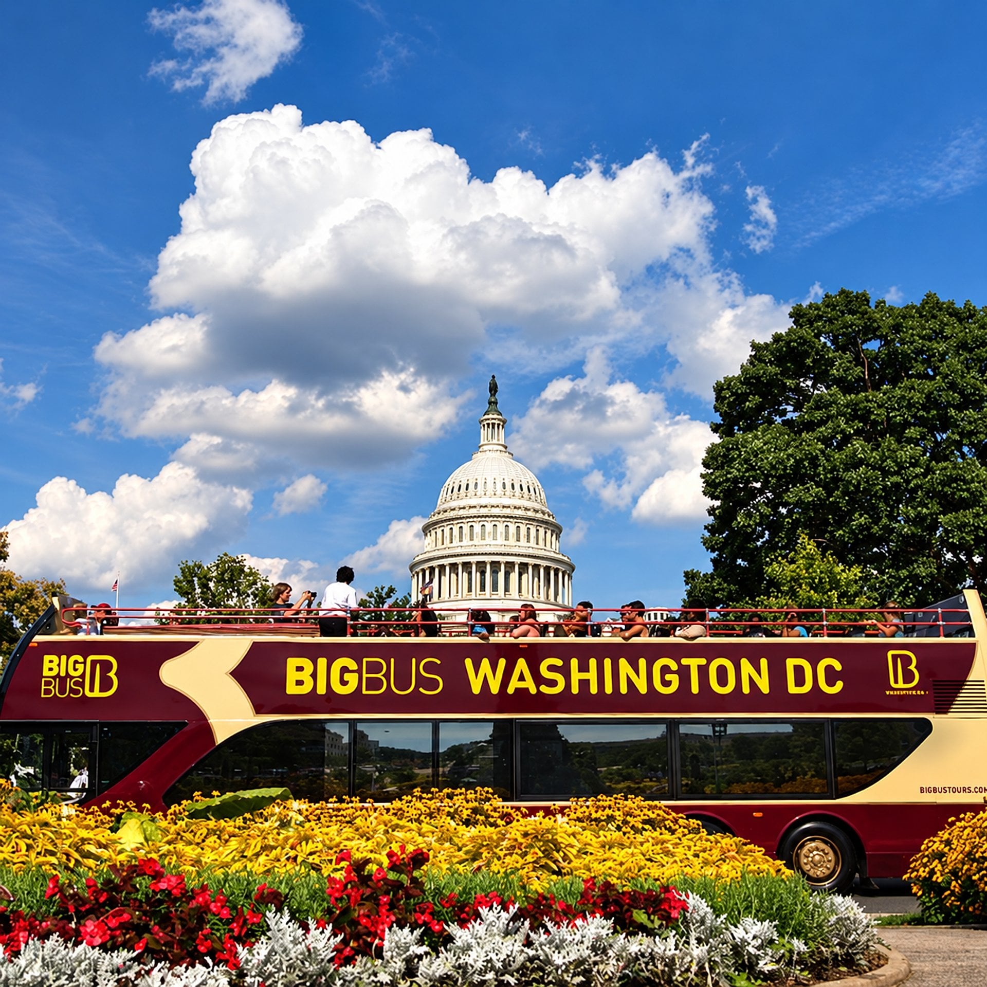 Big Bus Washington de 24 horas - Imagen 2