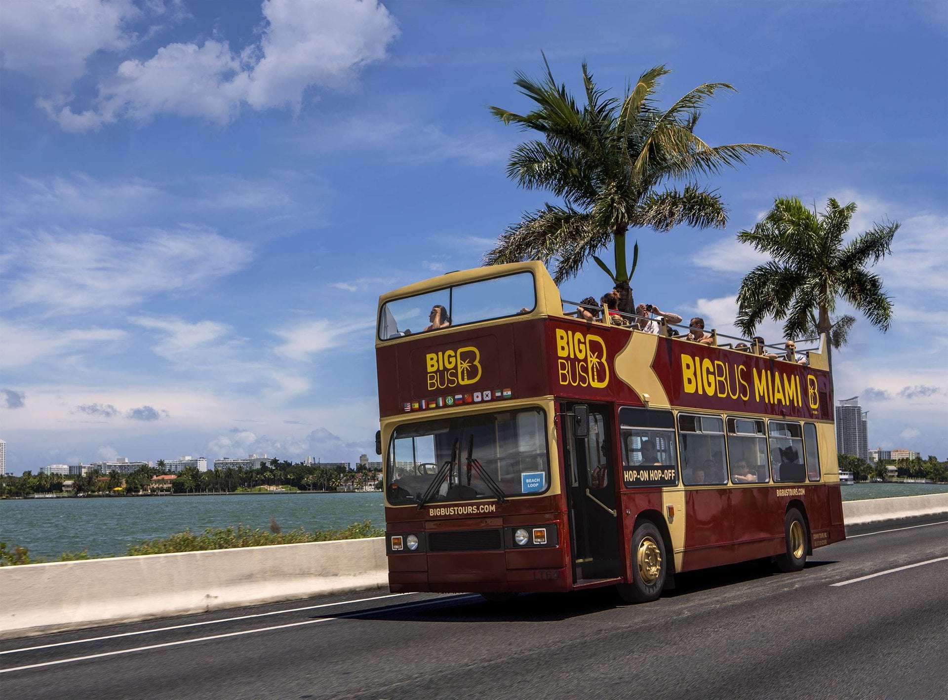 Bus turístico de 48 horas por Miami - Imagen 4