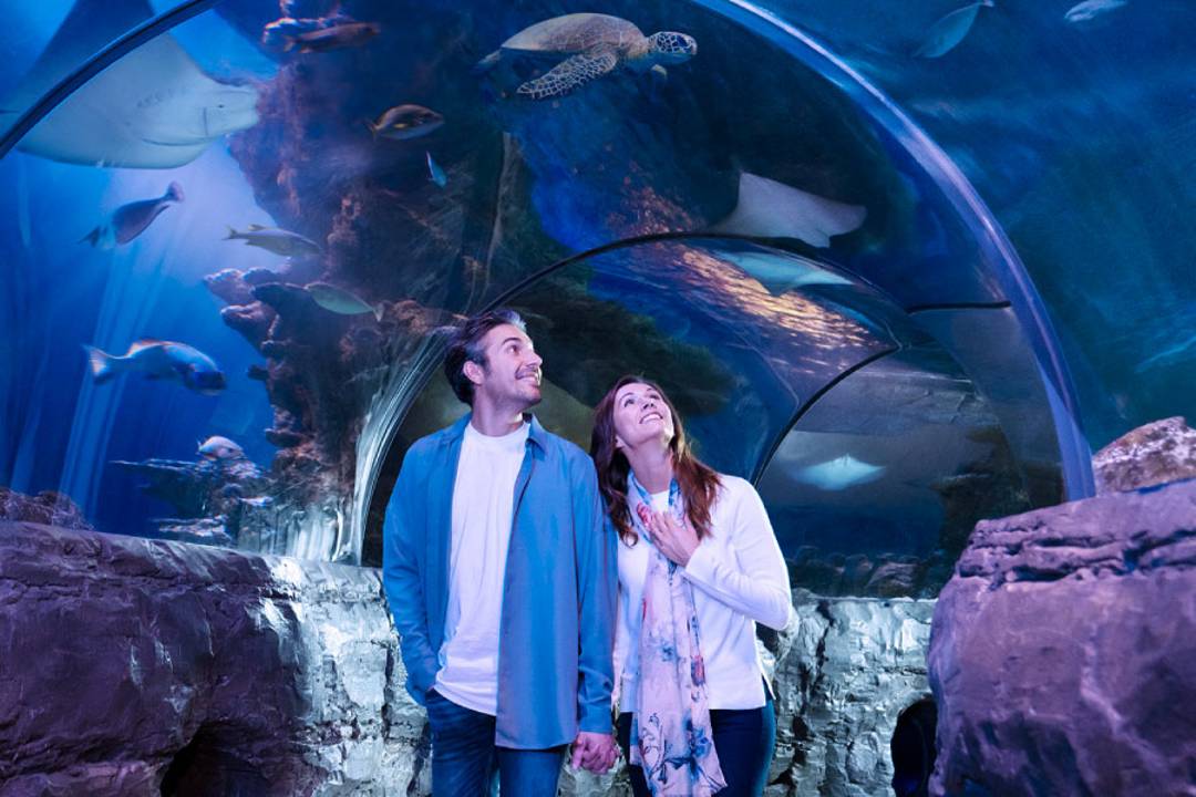 Pase de atracciones Merlín: Madame Tussauds - Imagen 3
