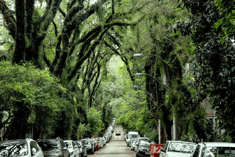 Tour por la Ciudad de Porto Alegre - Imagen 3