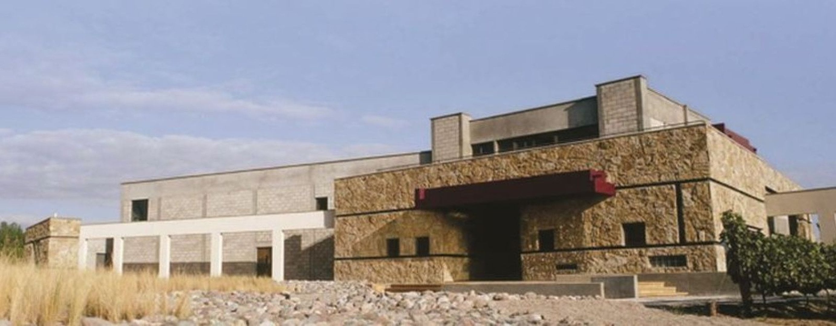 Vinos y oliva en Mendoza - Imagen 3