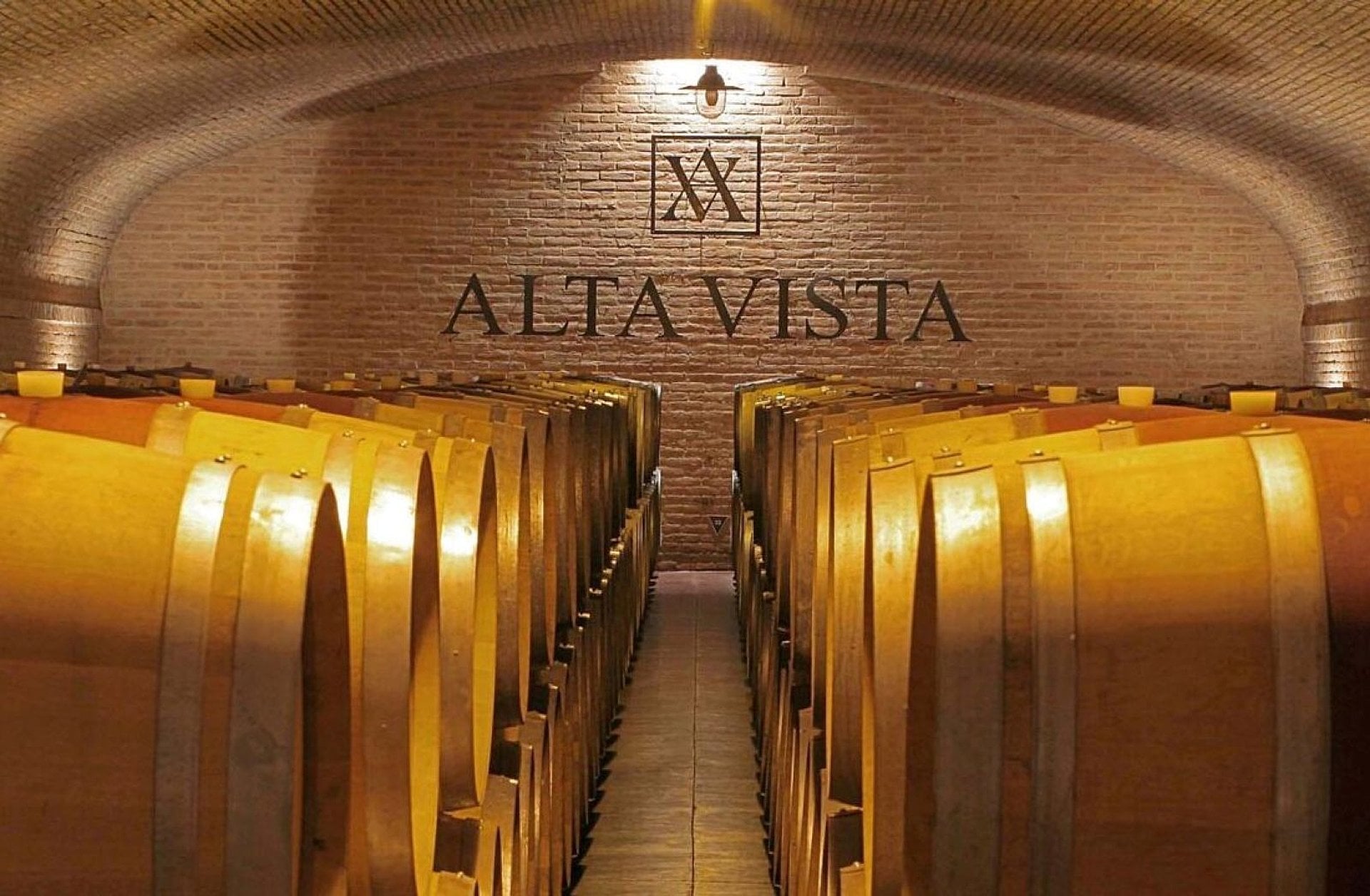 Vinos y oliva en Mendoza - Imagen 4