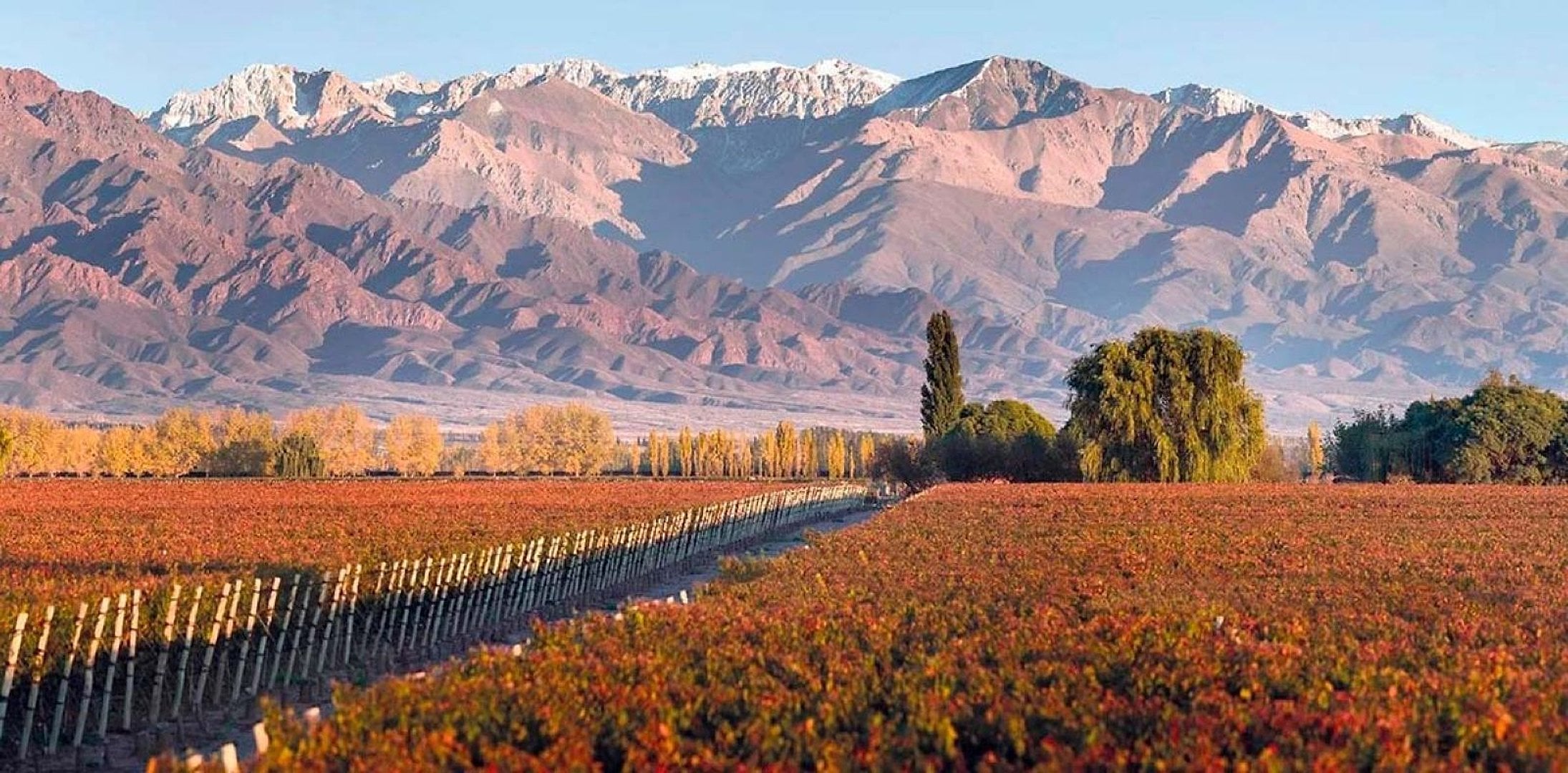 Tour enológico al Valle de Uco - Imagen 3