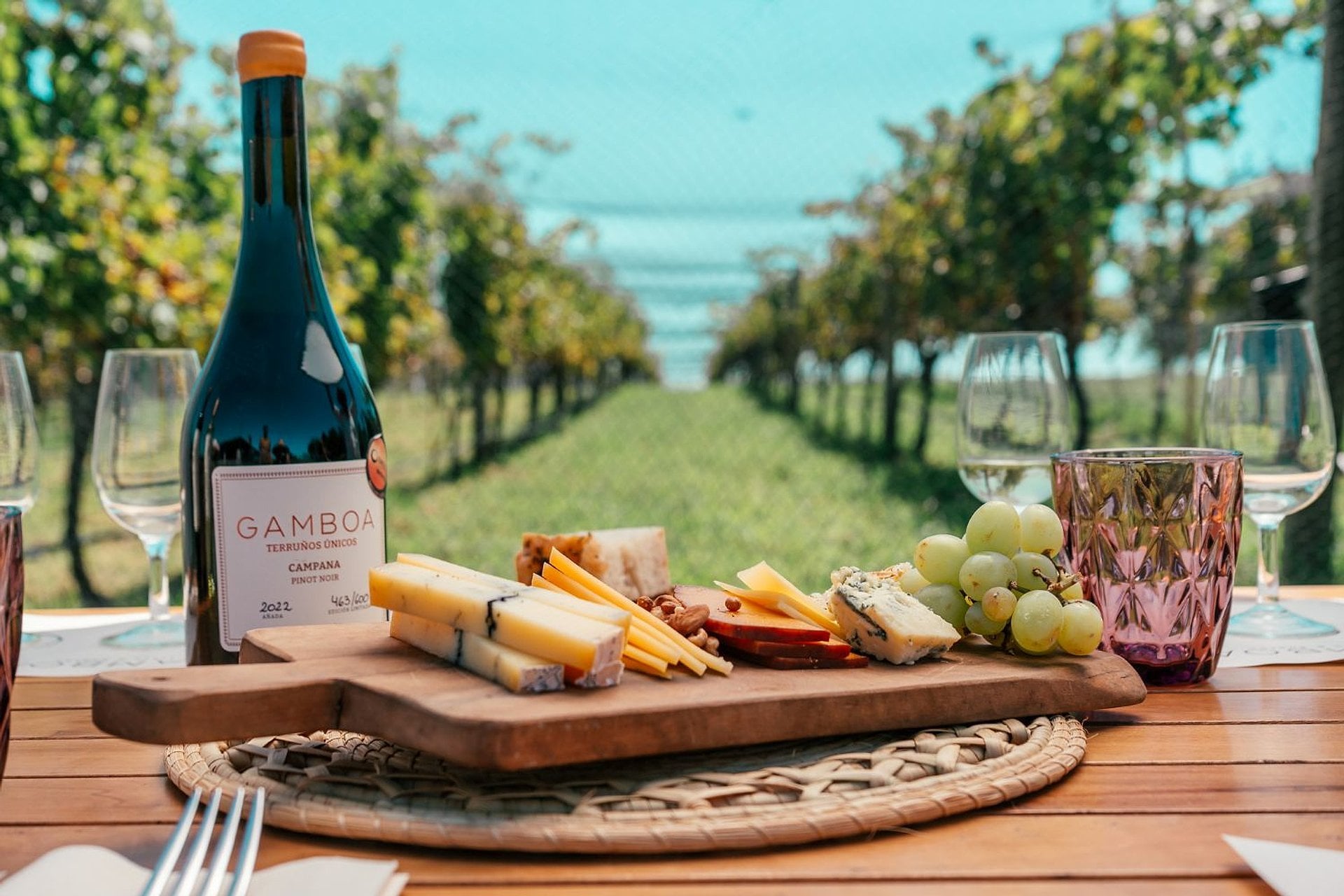 Viñedo Gamboa: vino y gastronomía - Imagen 4