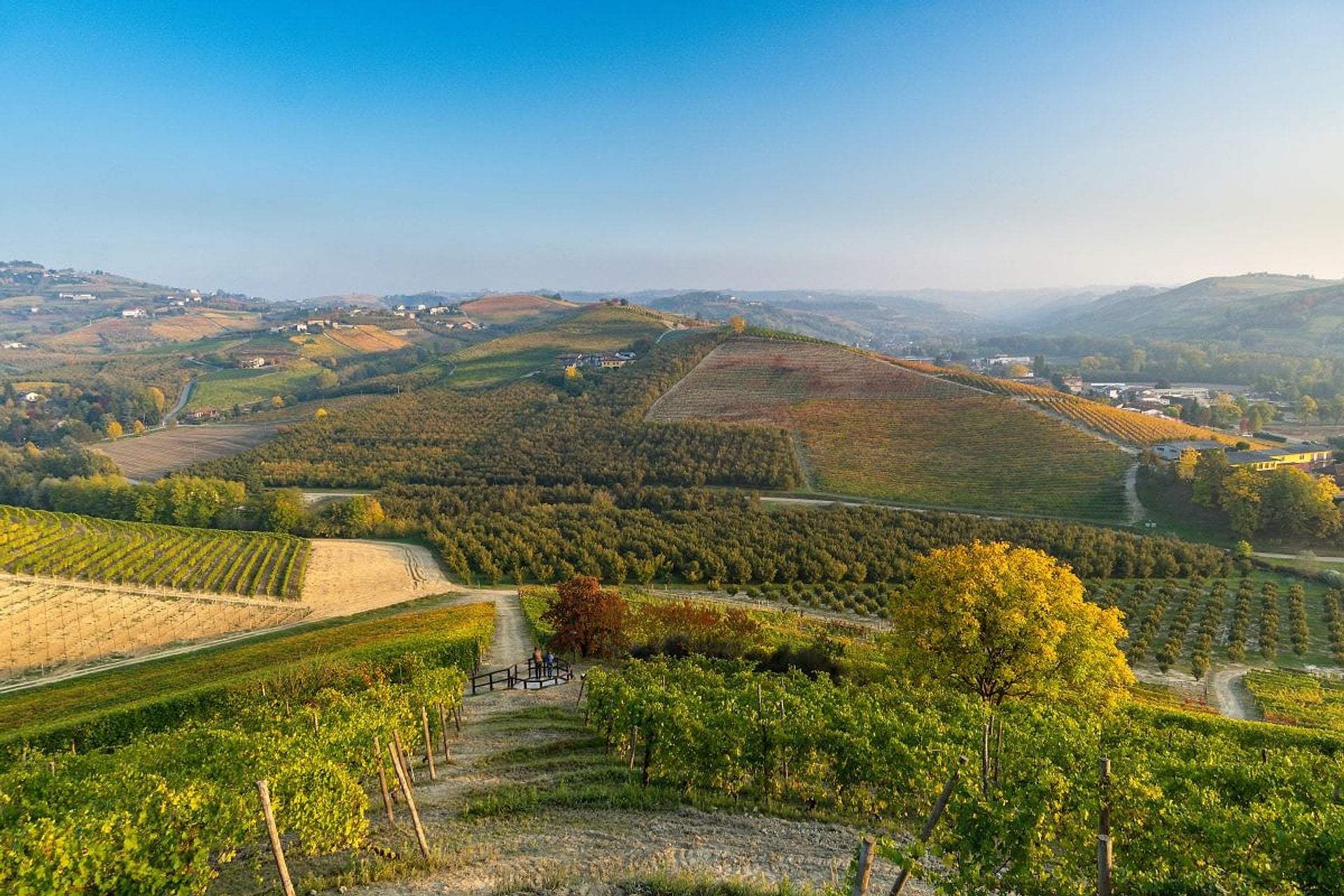 Viñedos de Barolo y la Catedral del Vino - Imagen 3