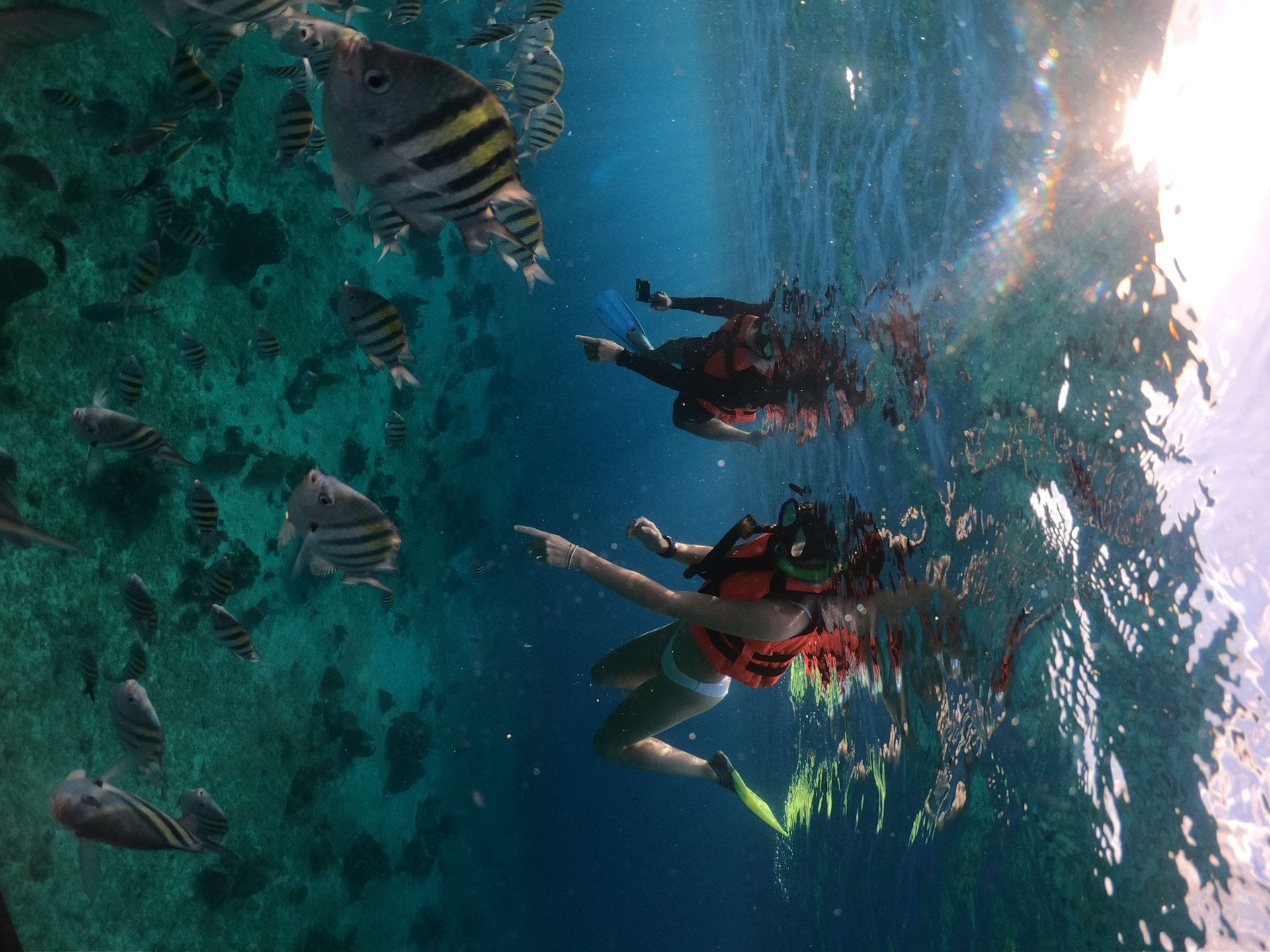 Barco transparente y snorkel en Cozumel - Imagen 4