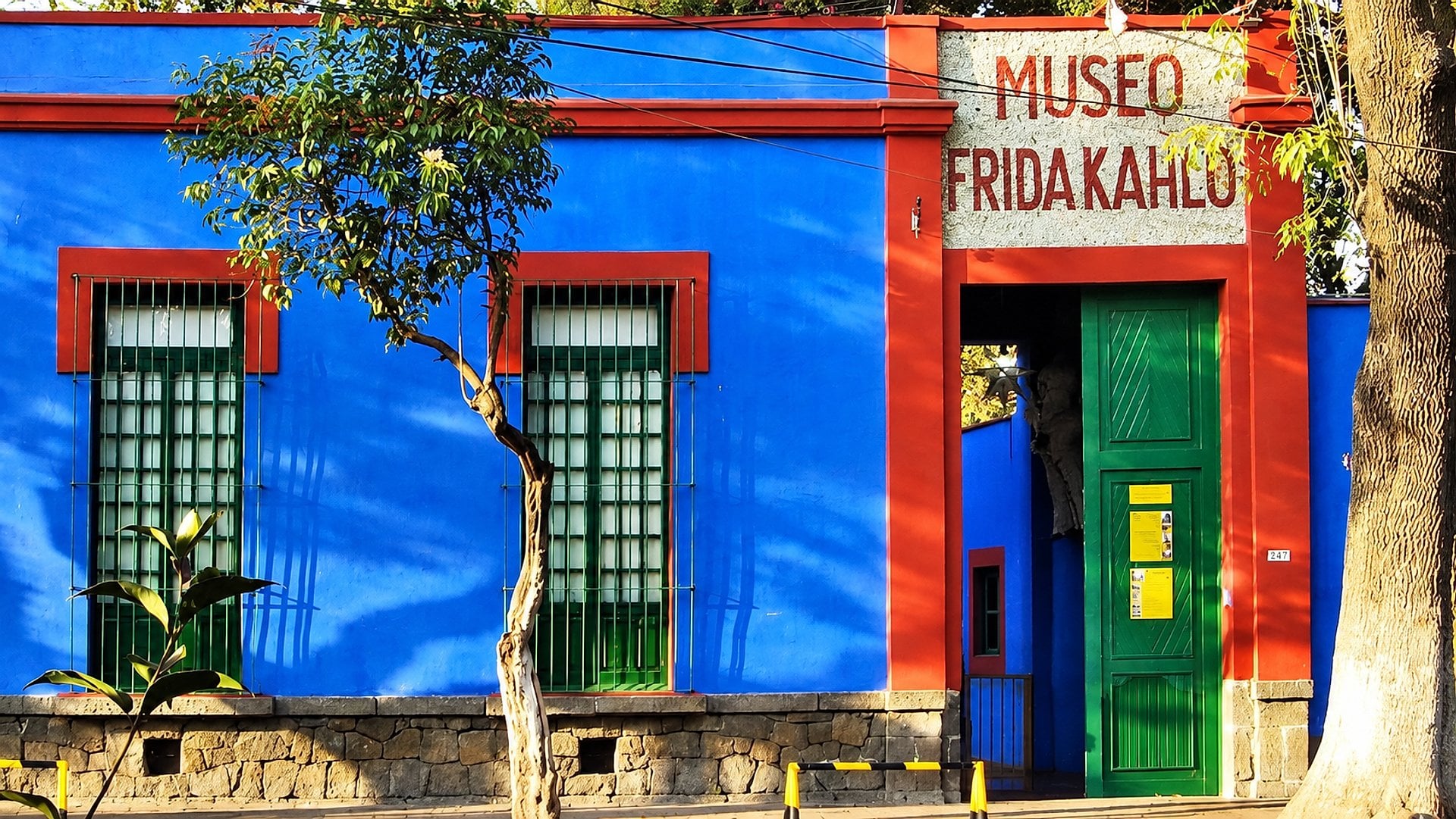 Entrada al Museo Frida Kahlo (Casa Azul) - Imagen 4