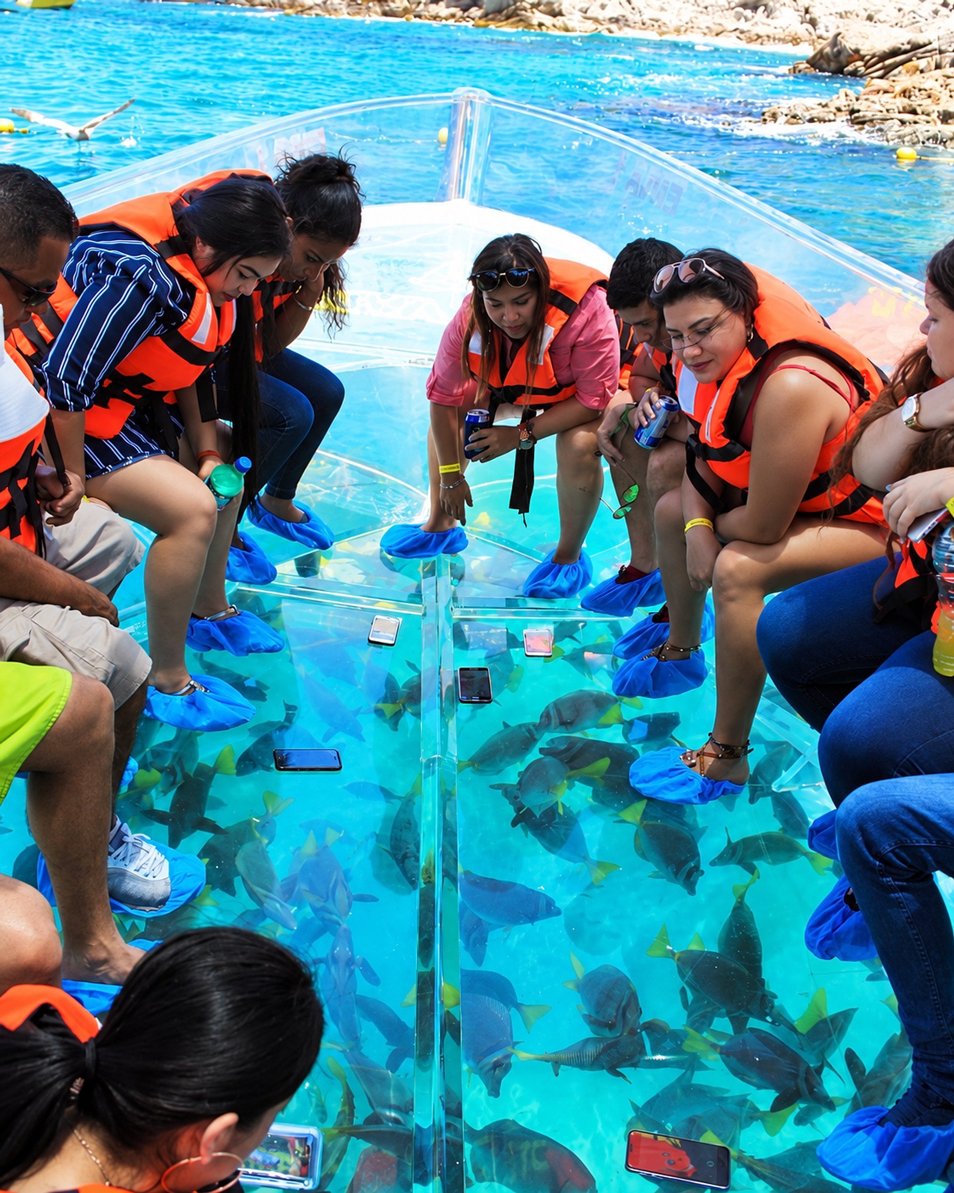 Barco transparente y city tour en Los Cabos - Imagen 4