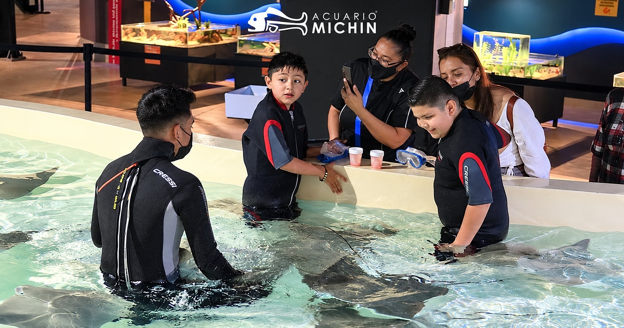 Entrada al Acuario de la ciudad de Michin - Imagen 2