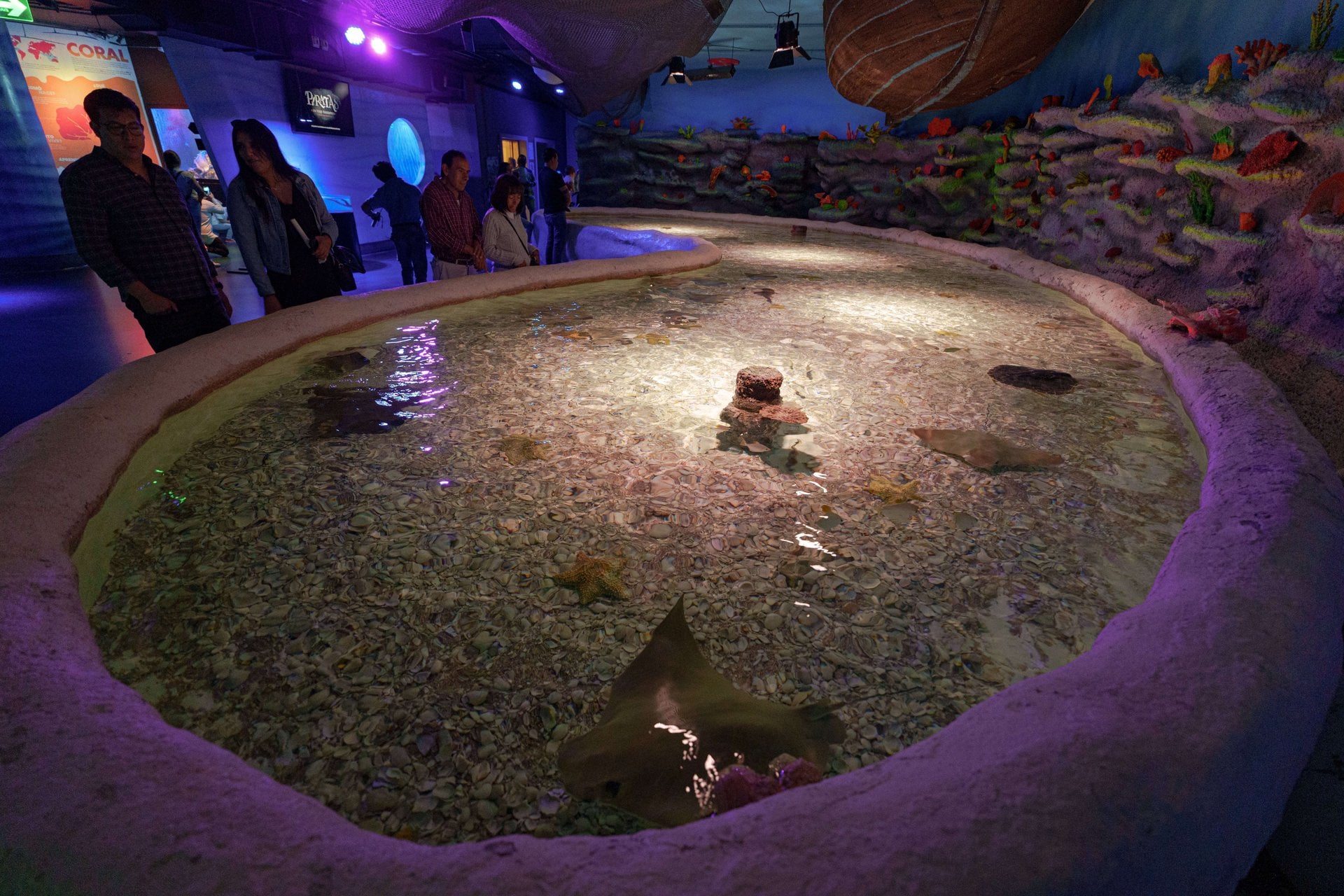 Ticket to Acuario Inbursa - Imagen 4