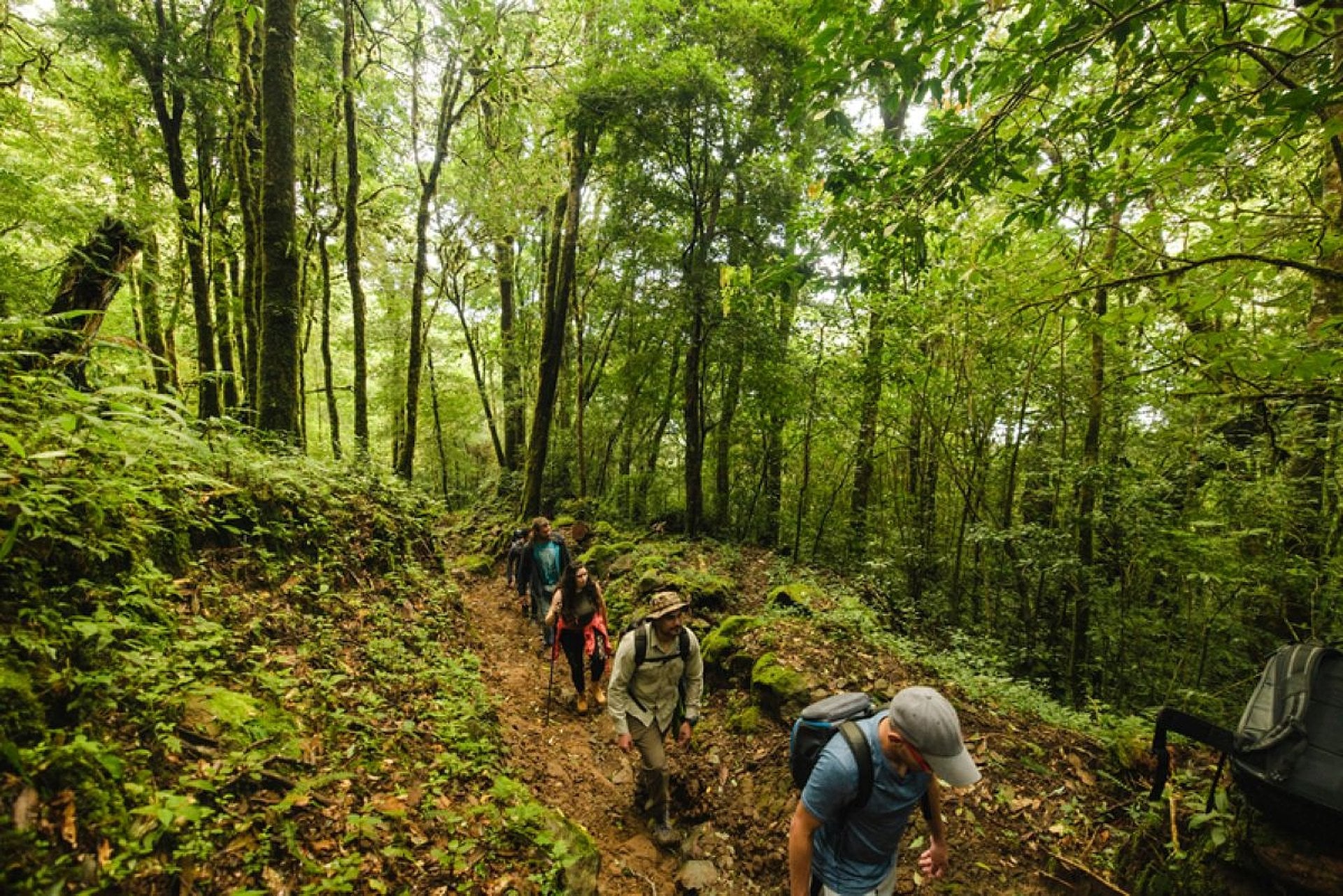 Parque Nacional Soberanía - Imagen 3