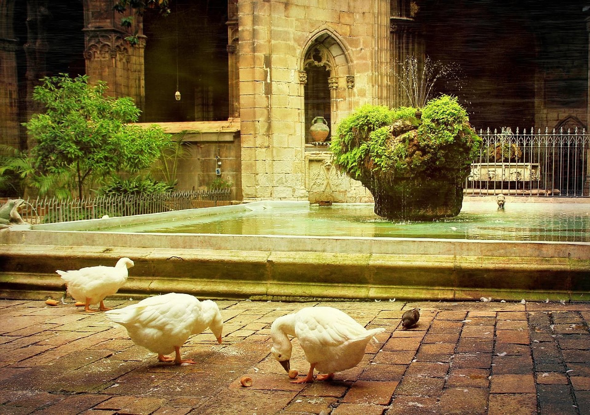 Catedral: visita guiada, terraza y más - Imagen 4