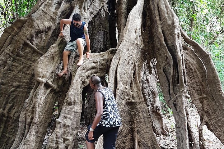Tour de aventura de 5 días en el Amazonas - Imagen 3