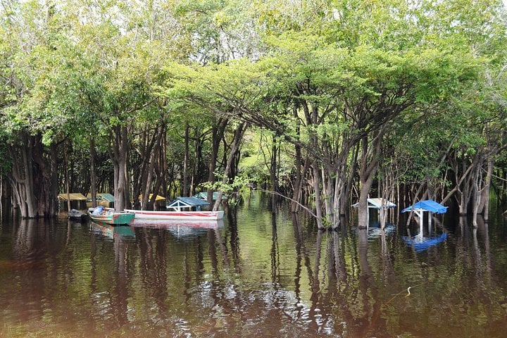 Buenos días, Amazonas: 1 noche en la selva - Imagen 4