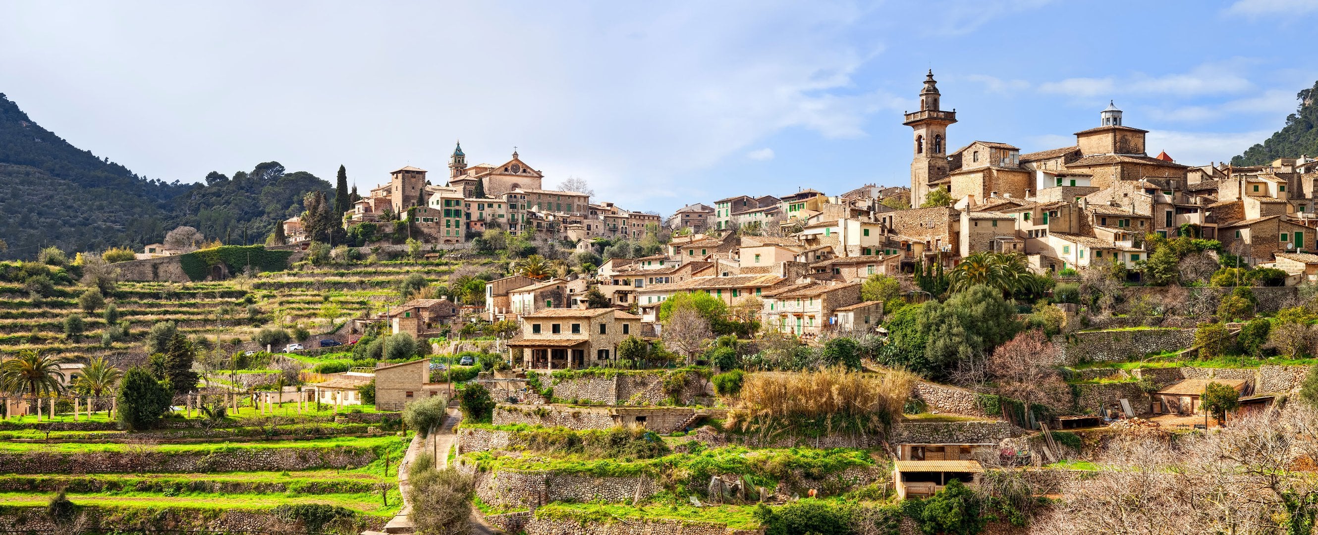 Port de Sóller y Valldemossa por la mañana - Imagen 3