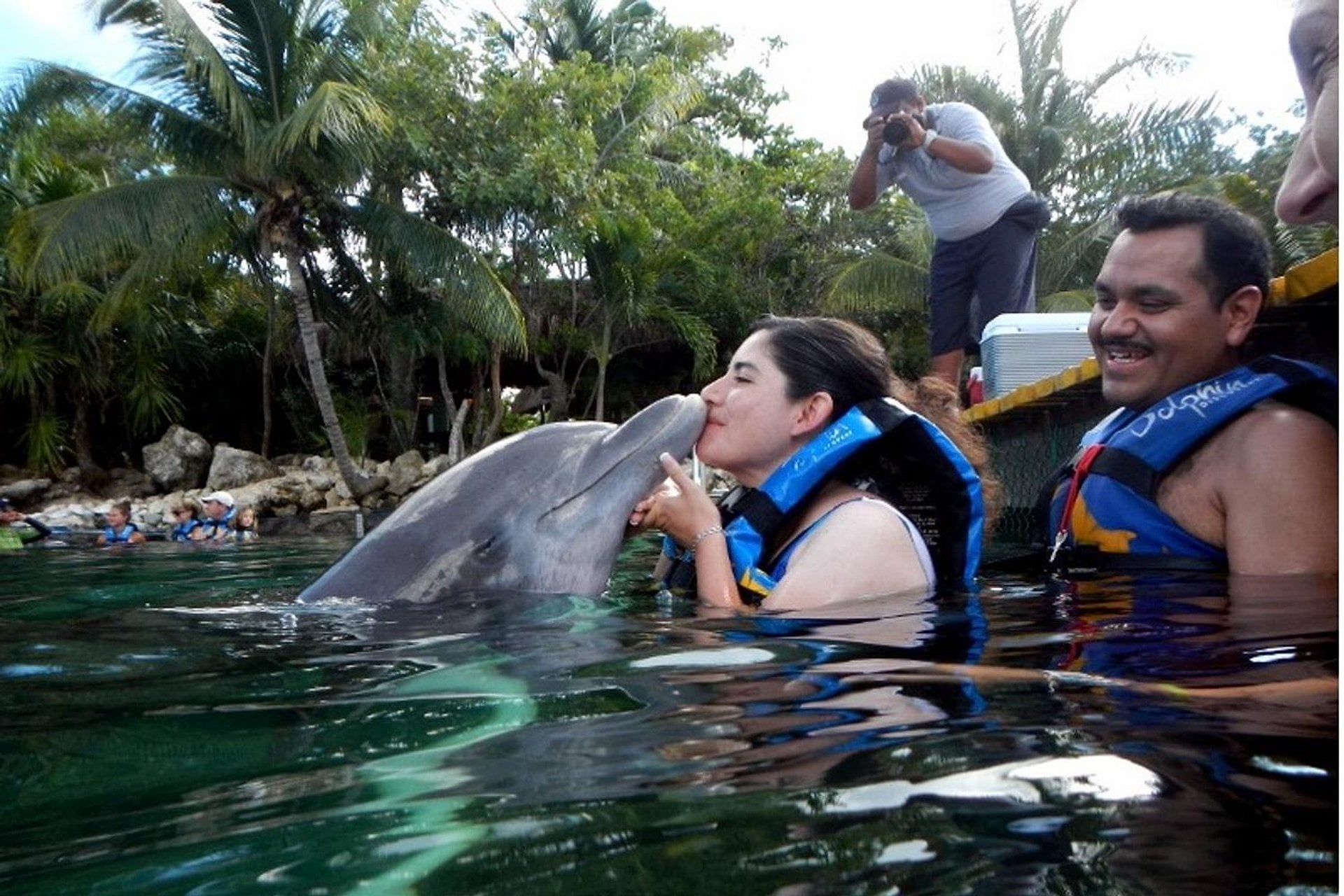 Dolphin Encounter en Puerto Aventuras - Imagen 4