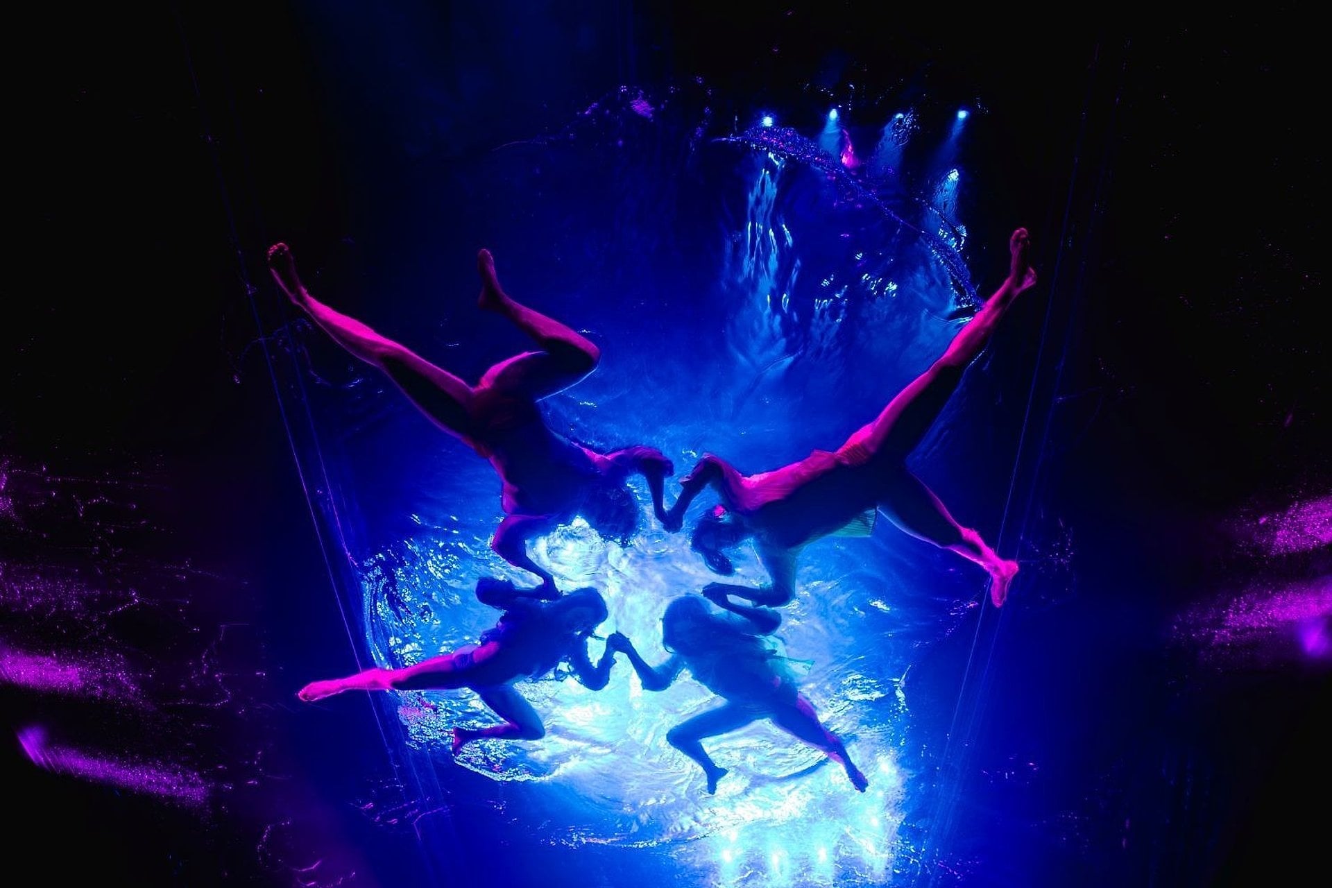 Fuerza Bruta: Aven, el Show más Feliz - Imagen 2