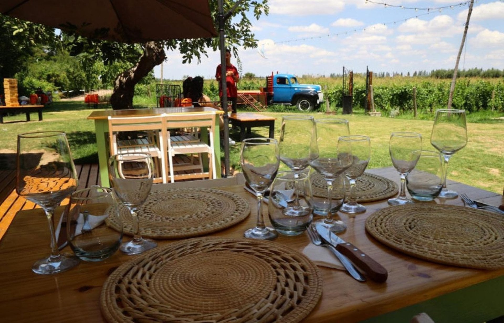 Mendoza entre viñedos con almuerzo - Imagen 3