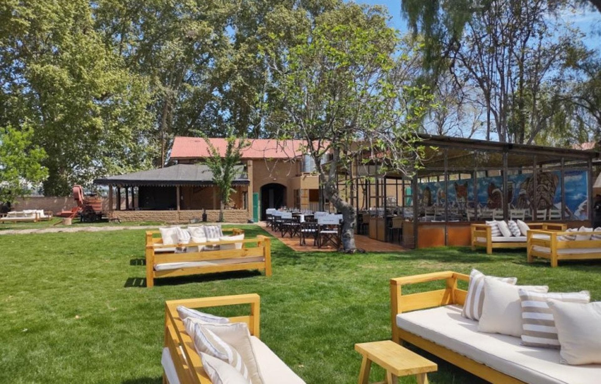 Mendoza entre viñedos con almuerzo - Imagen 2