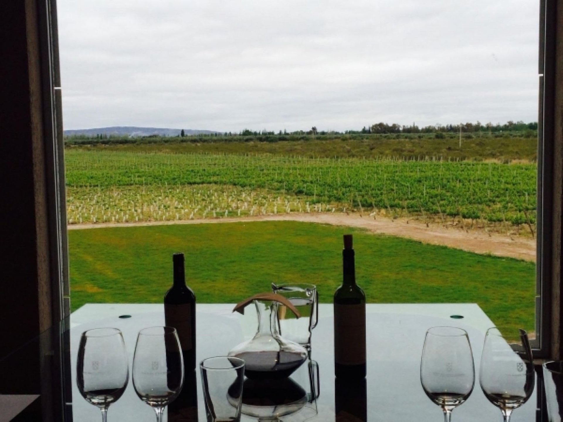 Mendoza entre viñedos con almuerzo - Imagen 4