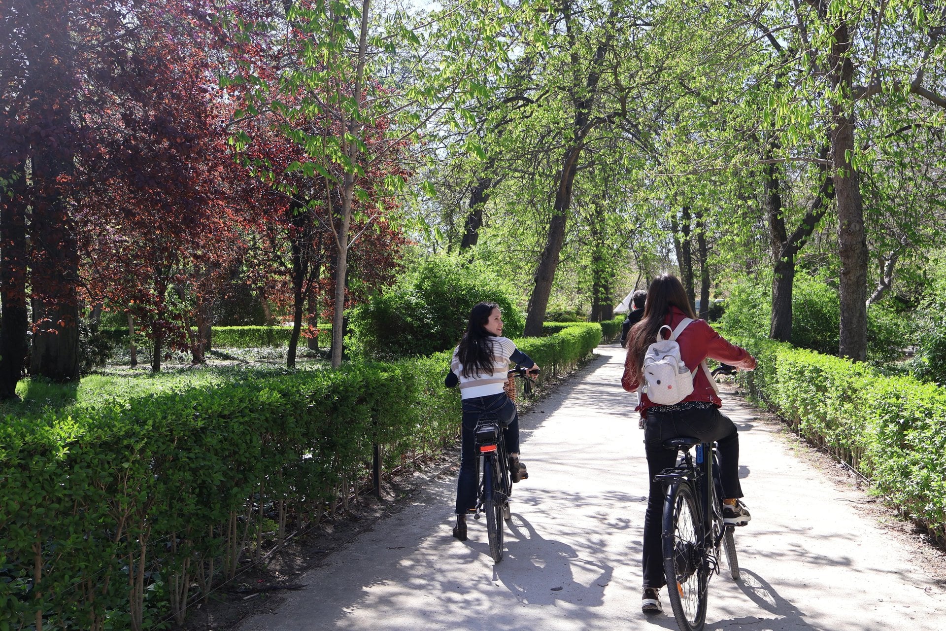 Bici eléctrica en el Retiro, grupo reducido - Imagen 3