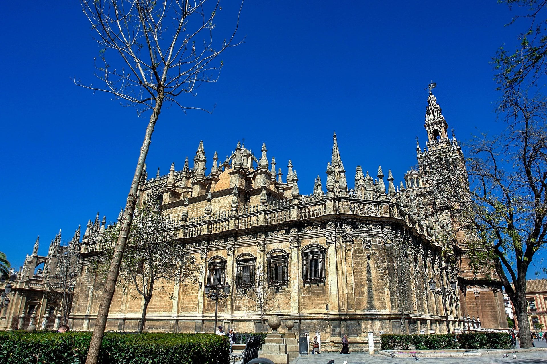 Catedral, Giralda y Alcázar de Sevilla - Imagen 3