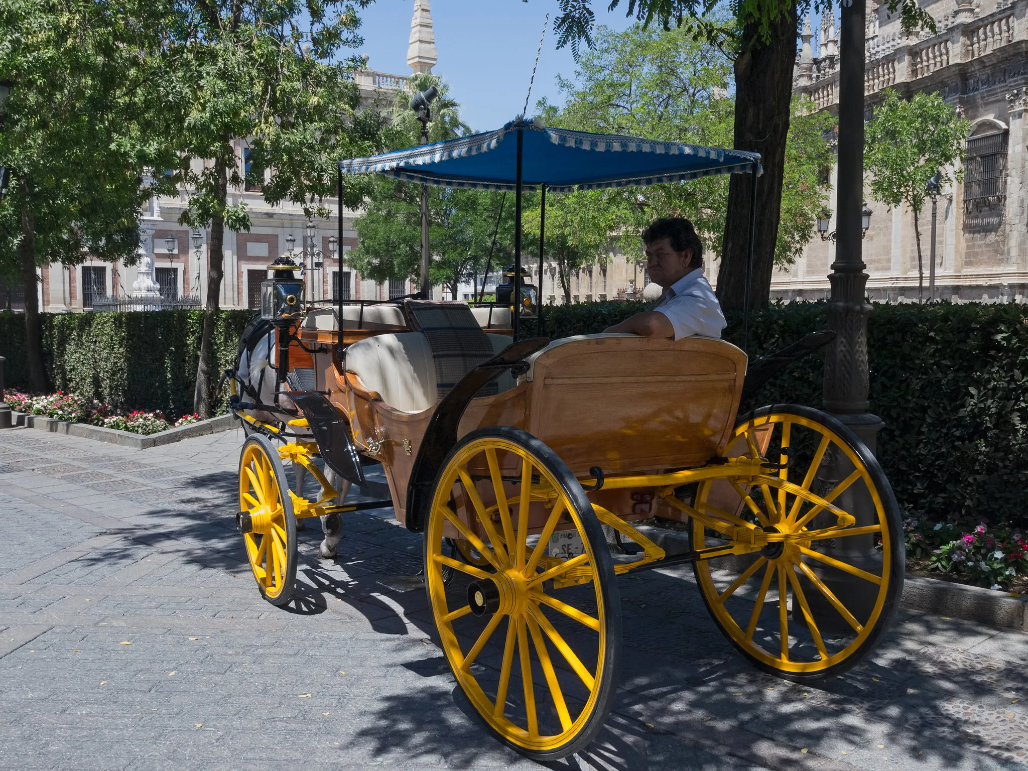 Paseo en carruaje por Sevilla - Imagen 3