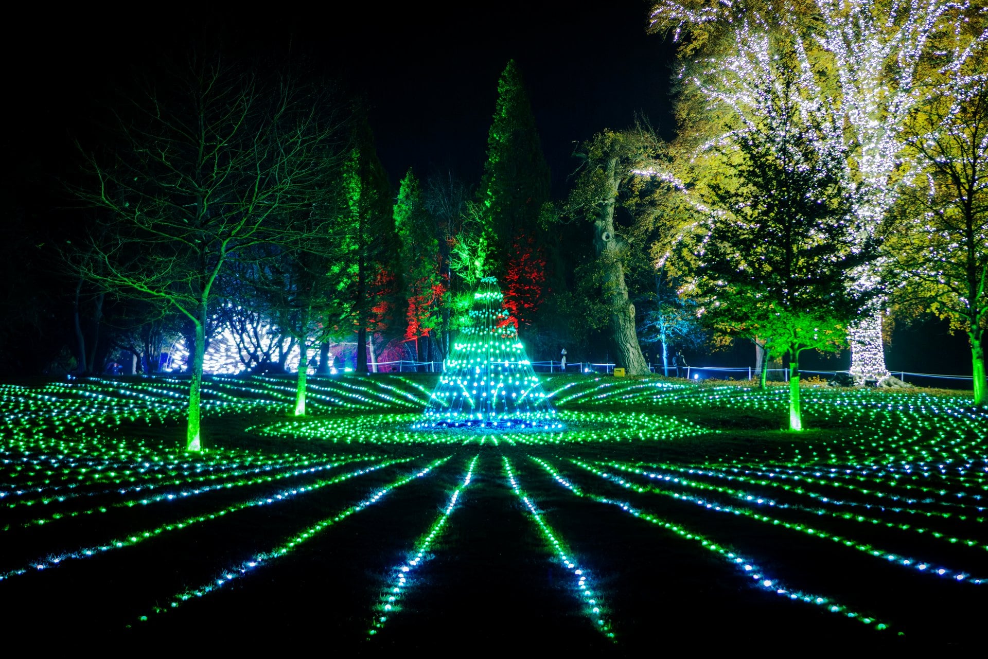 Navidad en el Palacio de Blenheim - Imagen 3