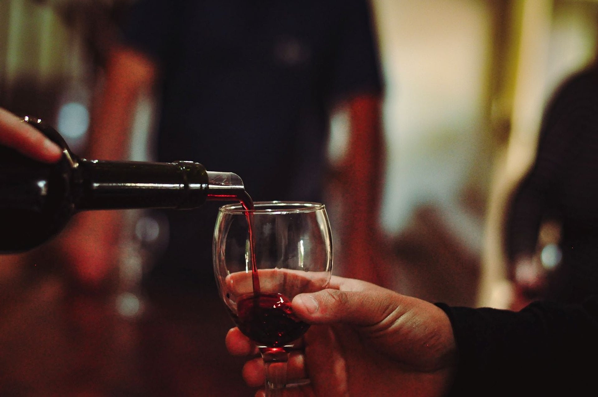 Ruta del Vino y Aceite de Oliva - Imagen 3