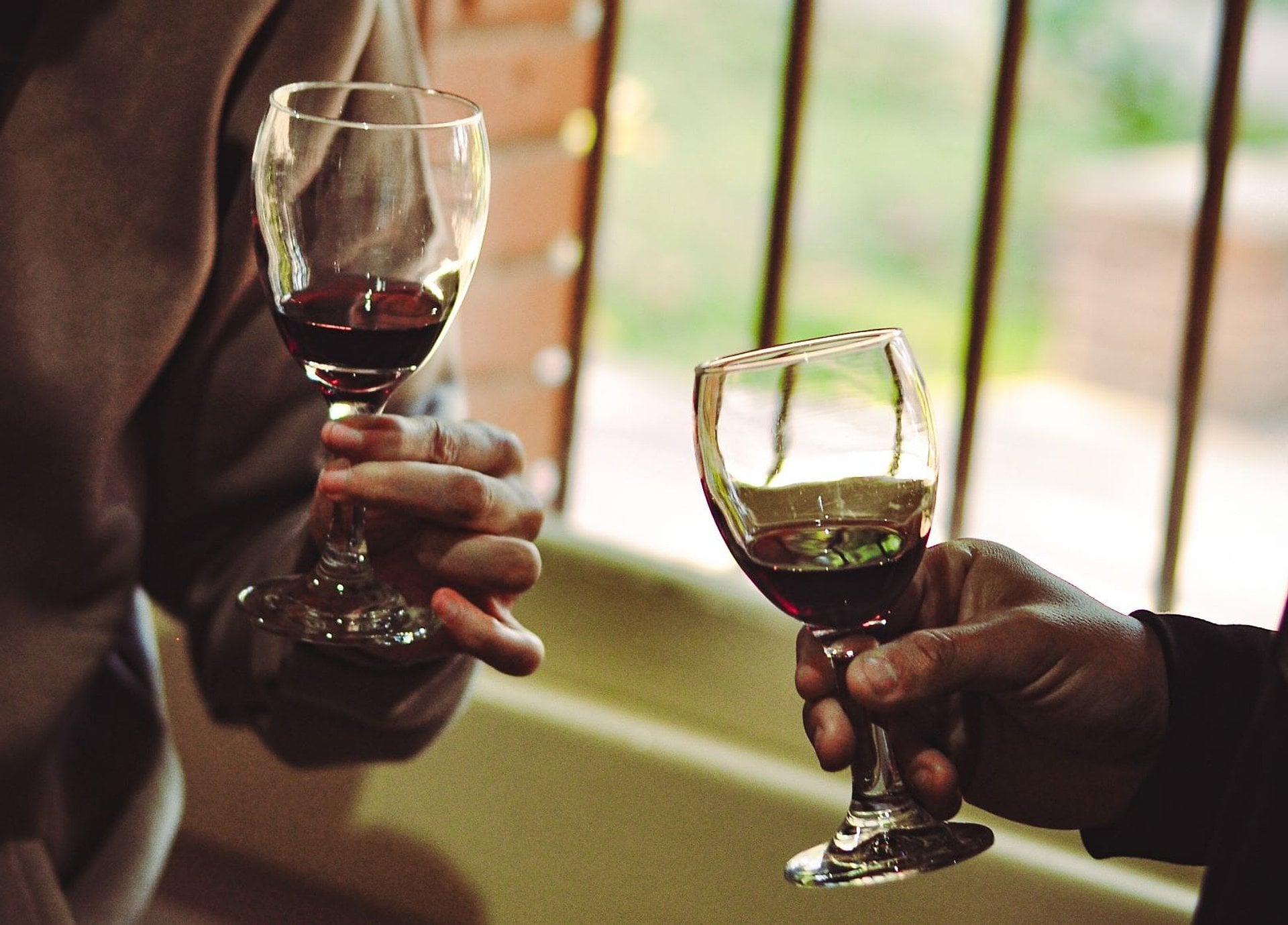 Ruta del Vino y Aceite de Oliva - Imagen 4