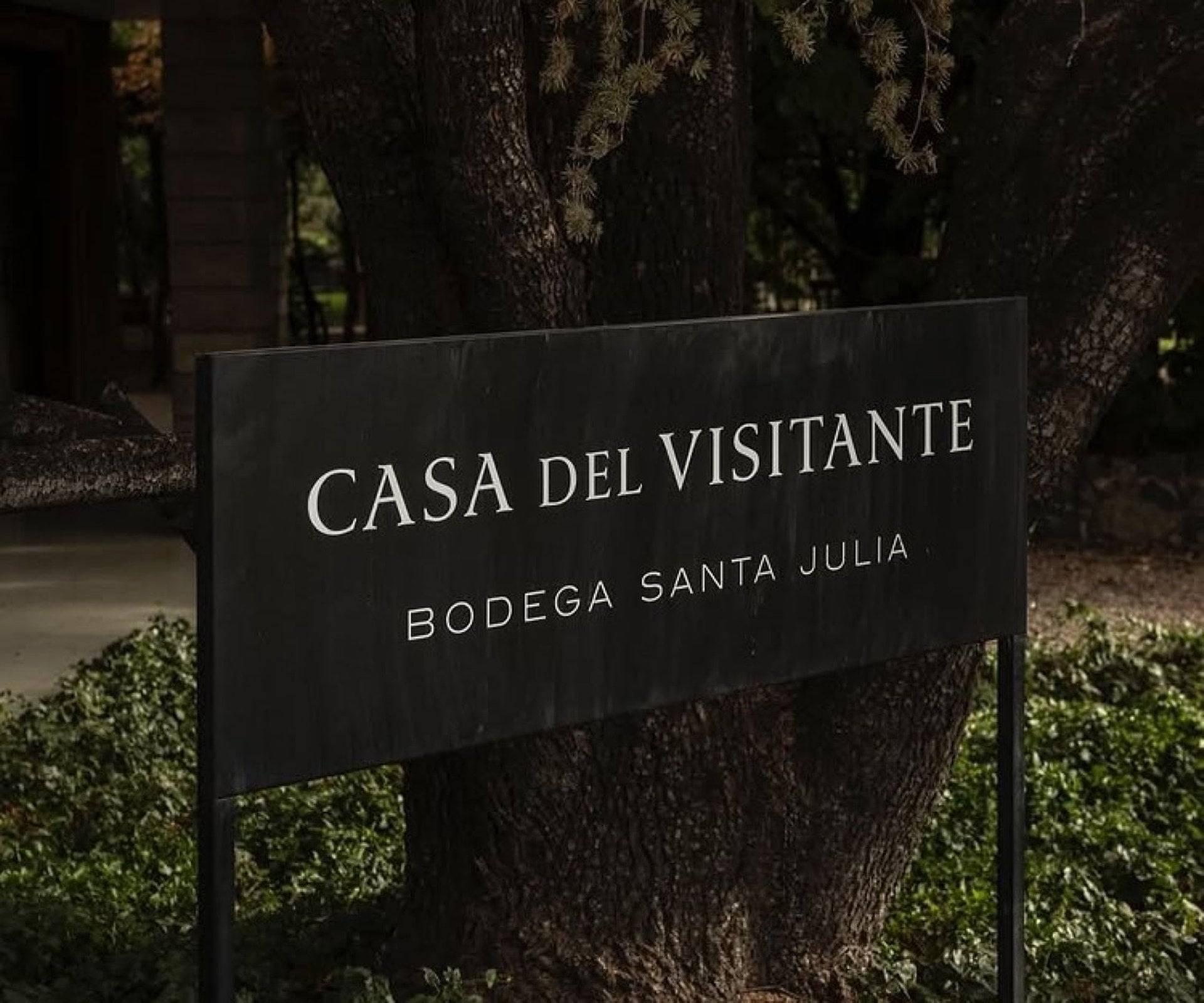 Vinos, viñedos y picnic en bodegas - Imagen 4