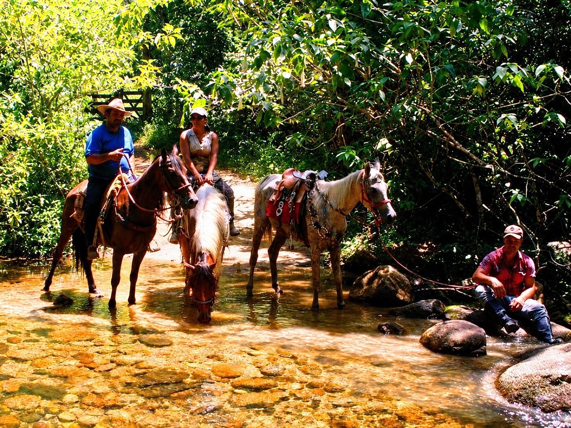 Paseo a caballo - Imagen 4