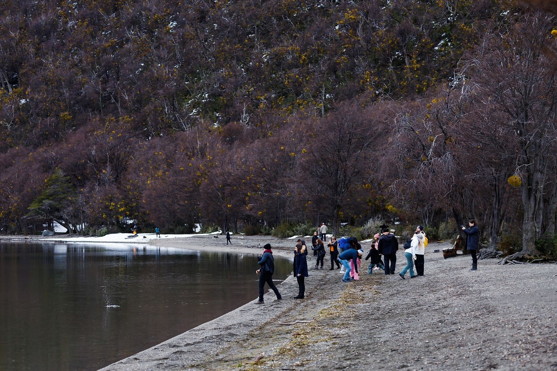 Parque Nacional Tierra del Fuego - Imagen 3