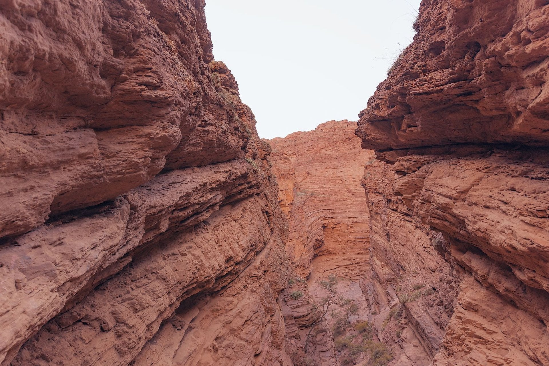 Cafayate, Humahuaca, Salinas y Cachi - Imagen 4