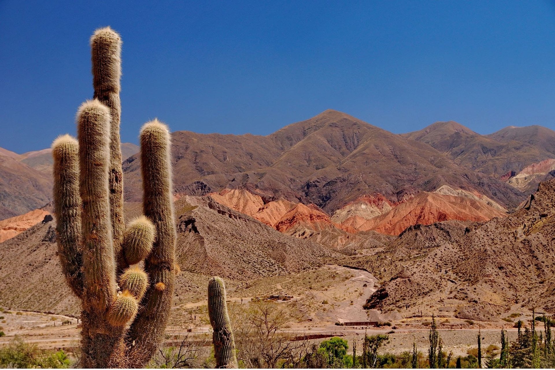 Cafayate, Humahuaca, Salinas y Cachi - Imagen 2