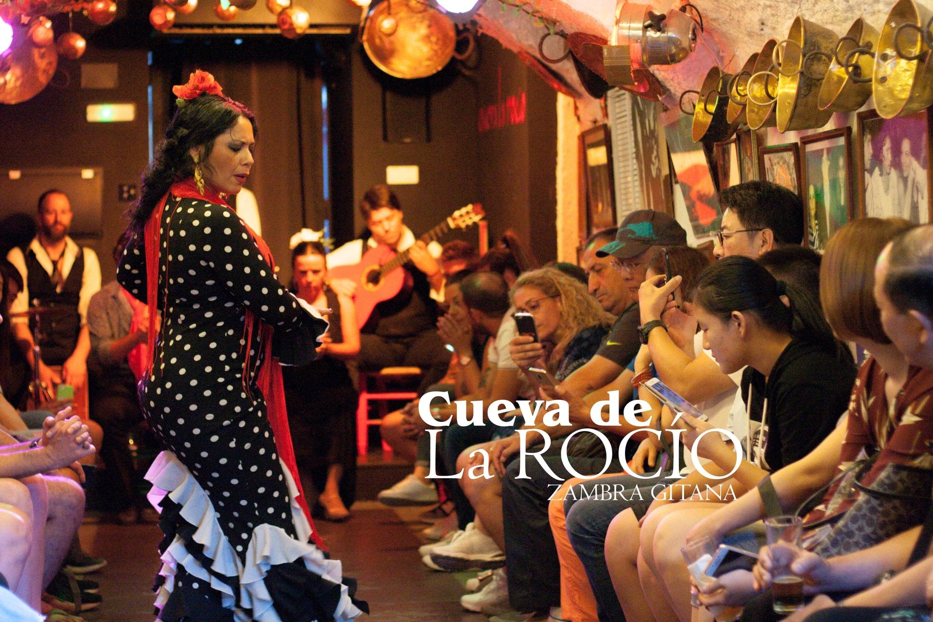 Show de flamenco en Granada - Imagen 2