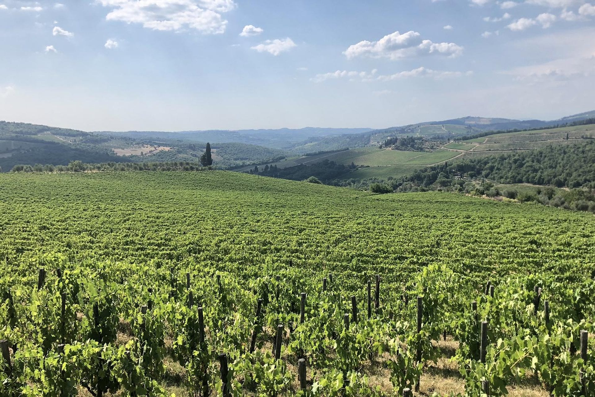 Explorando Chianti en Vespa eléctrica - Imagen 2
