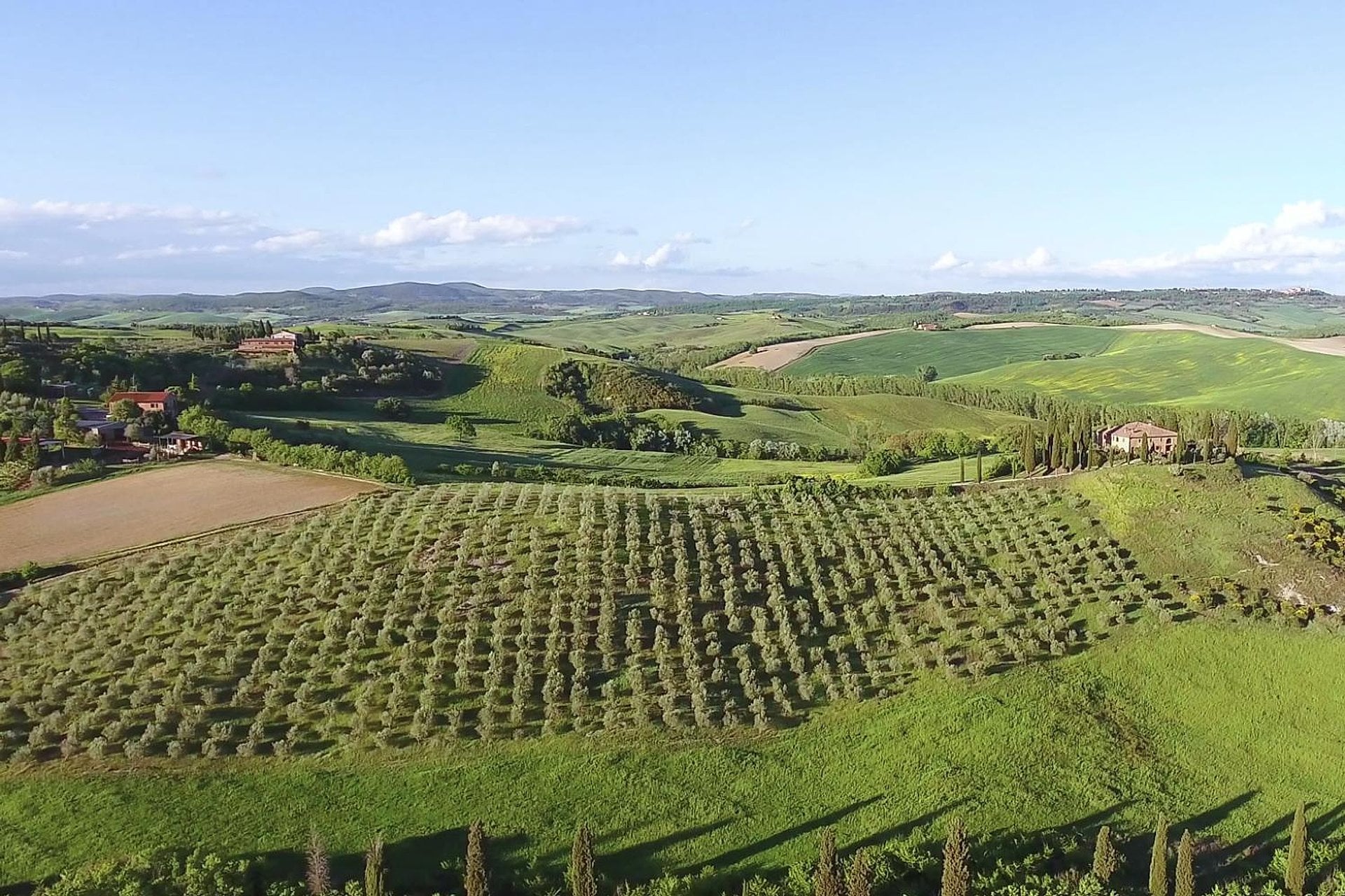Pasta, leyendas y vinos en Chianti Classico - Imagen 4