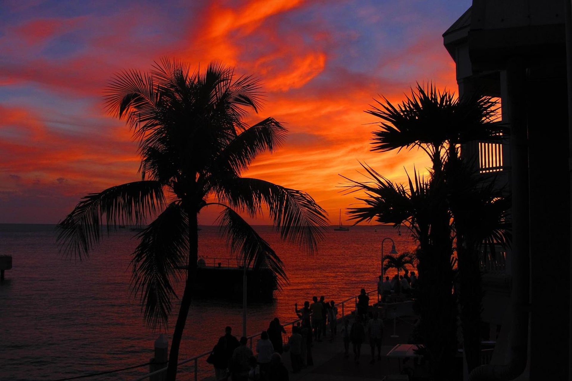 Snorkel en Key West - Imagen 3