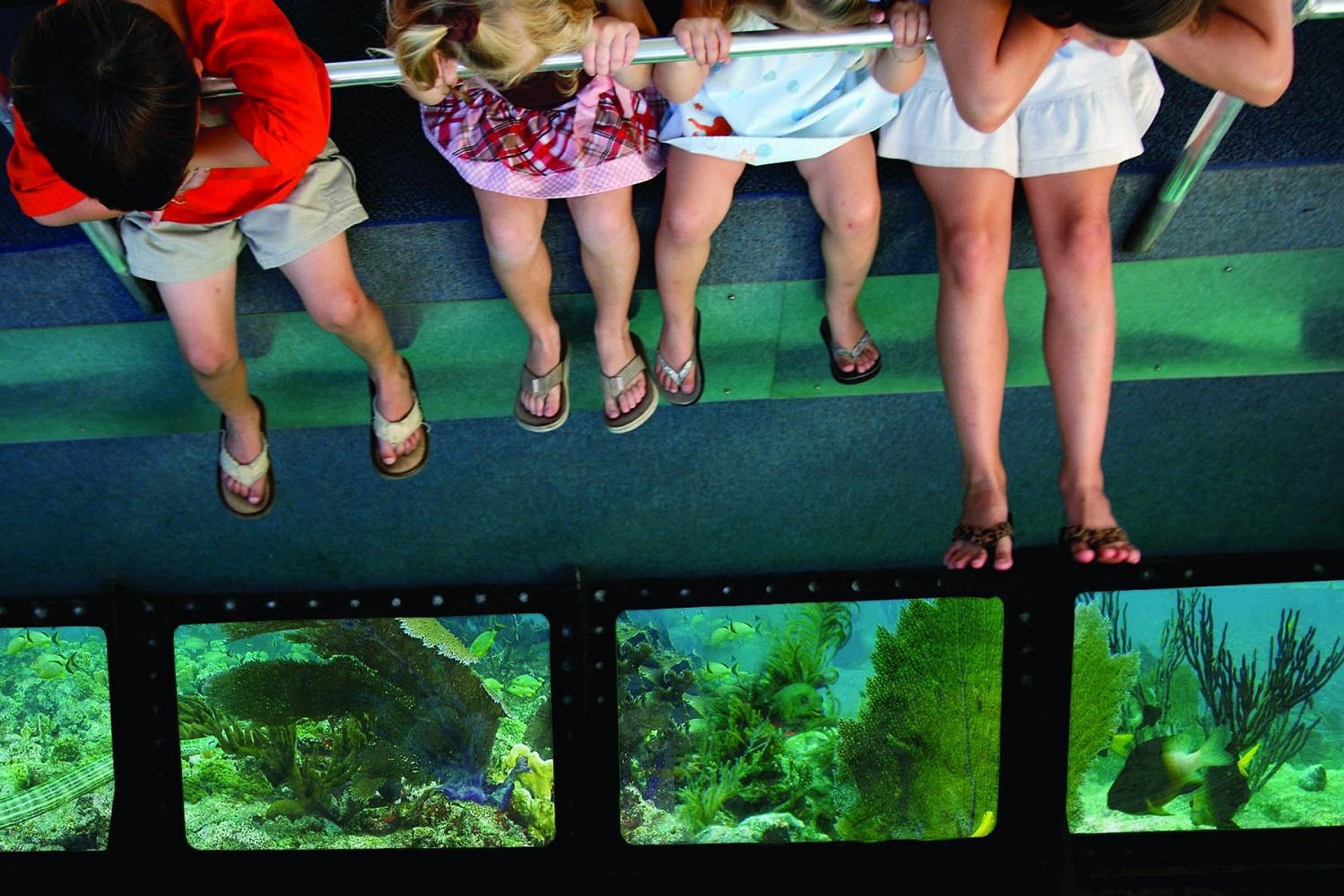 Barco con fondo de cristal en Key West - Imagen 2