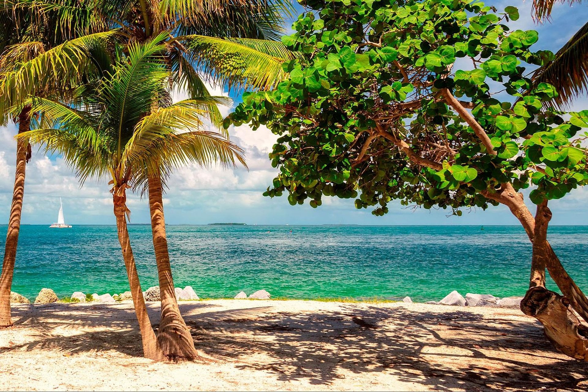 Paravelismo en Key West - Imagen 3