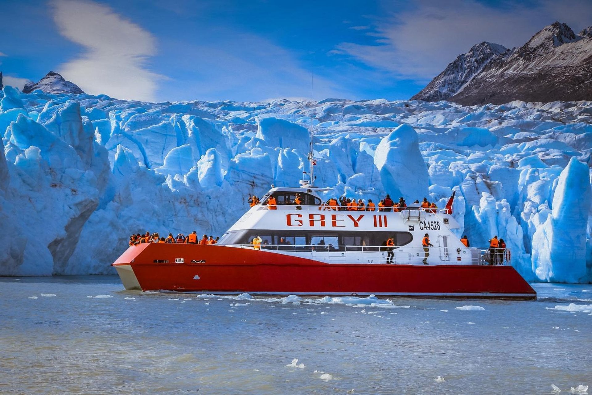 Navegación al Glaciar Grey - Imagen 2